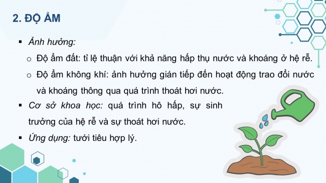 Soạn giáo án điện tử sinh học 11 CTST Bài 2: Trao đổi nước và khoáng ở thực vật (P2)