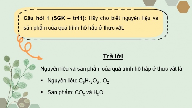 Soạn giáo án điện tử sinh học 11 CTST Bài 6: Hô hấp ở thực vật