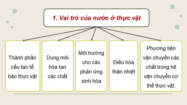 Soạn giáo án điện tử sinh học 11 Cánh diều Bài 2: Trao đổi nước và khoáng ở thực vật (P1)