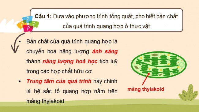 Soạn giáo án điện tử sinh học 11 Cánh diều Bài 4: Quang hợp ở thực vật (P1)