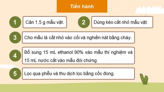 Soạn giáo án điện tử sinh học 11 Cánh diều  Bài 4: Quang hợp ở thực vật (P2)