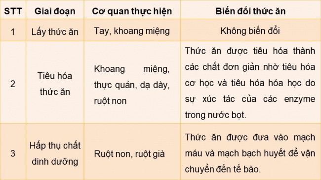 Soạn giáo án điện tử sinh học 11 Cánh diều Bài 6: Dinh dưỡng và tiêu hoá ở động vật (P1)