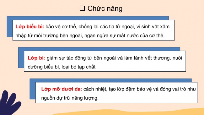 Bài giảng điện tử sinh học 8 kết nối tri thức