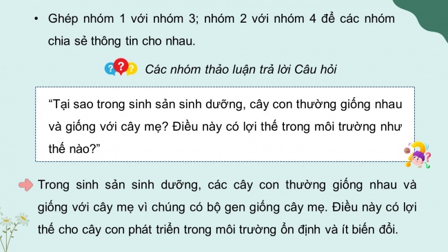 Bài giảng điện tử sinh học 11 kết nối tri thức