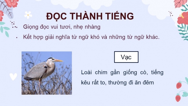 Soạn giáo án điện tử Tiếng Việt 4 CD Bài 7 Đọc 4: Anh đom đóm