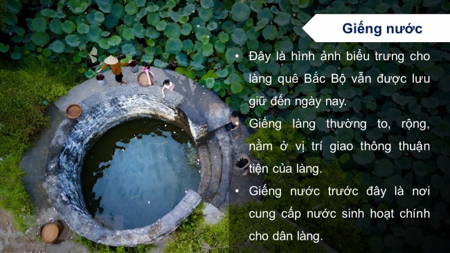 Soạn giáo án điện tử lịch sử và địa lí 4 KNTT bài 10: Một số nét văn hóa ở vùng Đồng bằng Bắc Bộ