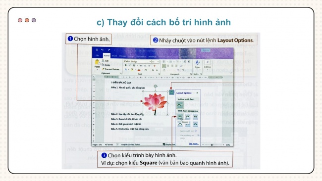 Soạn giáo án điện tử tin học 4 CTST Bài 8: Chèn hình ảnh, sao chép, di chuyển, xoá văn bản