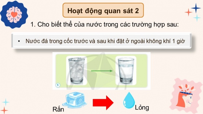  Bài giảng điện tử khoa học 4 cánh diều