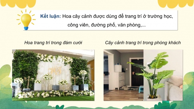 Soạn giáo án điện tử công nghệ 4 KNTT bài 1: Lợi ích của hoa, cây cảnh đối với đời sống