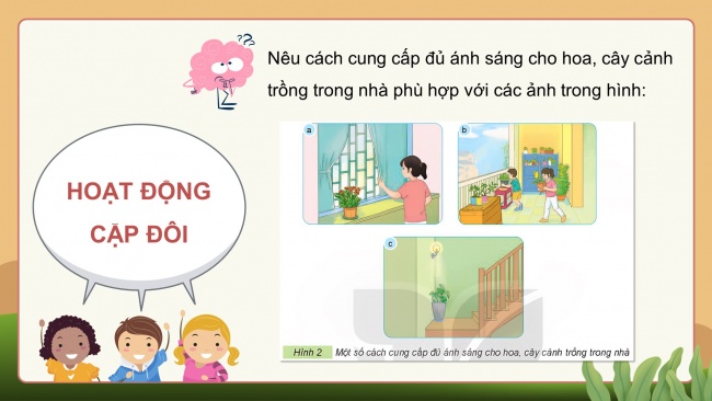 Soạn giáo án điện tử công nghệ 4 KNTT bài 6: Chăm sóc hoa, cây cảnh trong chậu