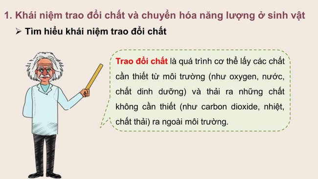 Bài giảng Powerpoint khoa học tự nhiên 7 chân trời sáng tạo