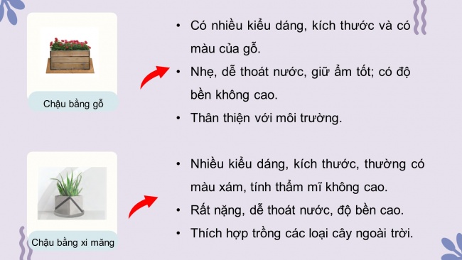 Soạn giáo án điện tử công nghệ 4 CTST Bài 2: Vật liệu, dụng cụ trồng hoa và cây cảnh trong chậu