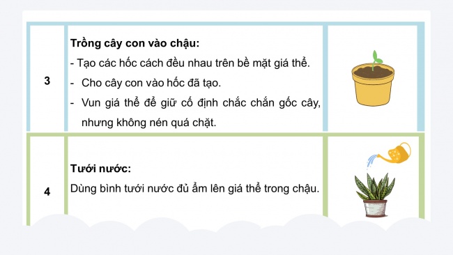 Soạn giáo án điện tử công nghệ 4 CTST Bài 4: Trồng cây cảnh trong chậu