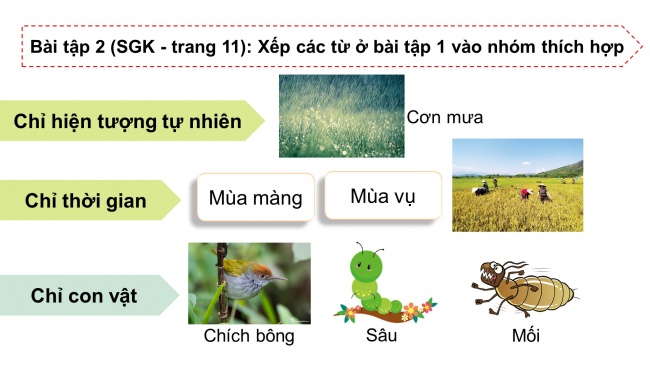 Soạn giáo án điện tử tiếng việt 4 cánh diều Bài 1 Luyện từ và câu 1: Danh từ