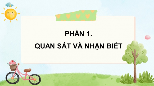 Soạn giáo án điện tử mĩ thuật 4 cánh diều Bài 3: Những vật liệu khác nhau