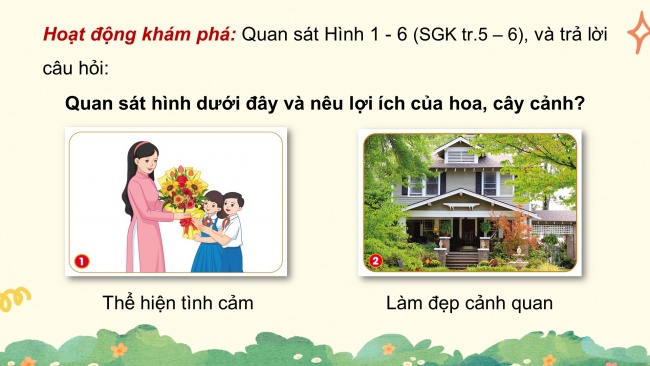 Soạn giáo án điện tử công nghệ 4 cánh diều Bài 1: Lợi ích của hoa và cây cảnh