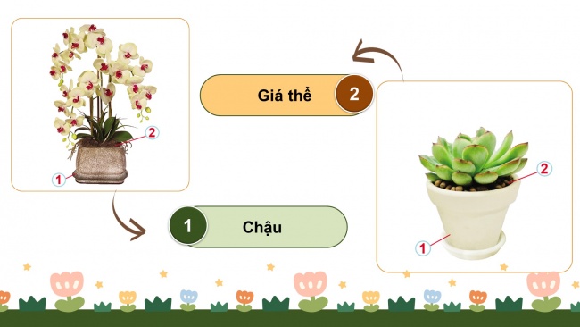 Soạn giáo án điện tử công nghệ 4 cánh diều Bài 4: Chậu và giá thể trồng hoa, cây cảnh