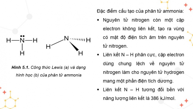 Soạn giáo án điện tử hóa học 11 KNTT Bài 5: Ammonia, Muối ammonium