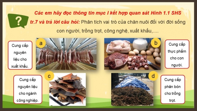 Soạn giáo án điện tử Công nghệ chăn nuôi 11 KNTT Bài 1: Vai trò và triển vọng của chăn nuôi