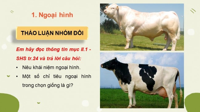 Soạn giáo án điện tử Công nghệ chăn nuôi 11 KNTT Bài 4: Chọn giống vật nuôi