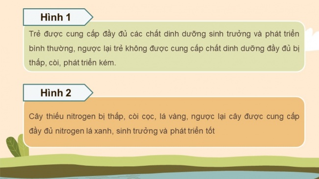 Soạn giáo án điện tử sinh học 11 KNTT Bài 1: Khái quát về trao đổi chất và chuyển hóa năng lượng