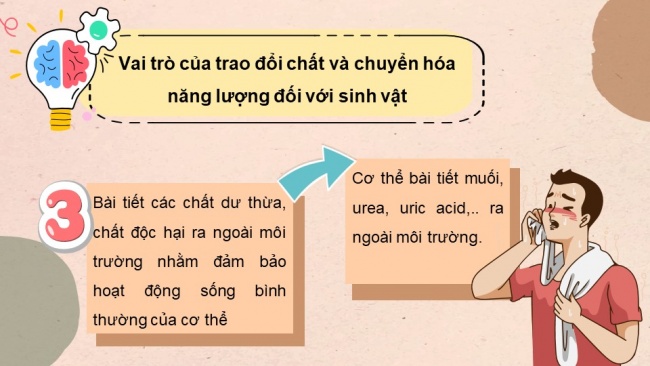 Soạn giáo án điện tử sinh học 11 CTST Bài 1: Khái quát về trao đổi chất và chuyển hoá năng lượng ở sinh vật