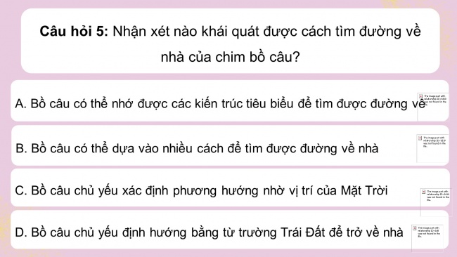 Soạn giáo án điện tử Ngữ văn 8 CD Bài 3 Tự đánh giá: Vì sao chim bồ câu không bị lạc đường?