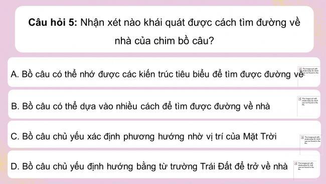 Soạn giáo án điện tử Ngữ văn 8 CD Bài 3 Tự đánh giá: Vì sao chim bồ câu không bị lạc đường?