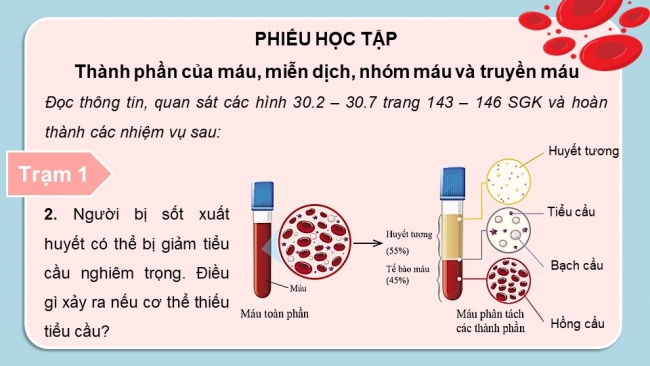 Soạn giáo án điện tử KHTN 8 CD Bài 30: Máu và hệ tuần hoàn ở người