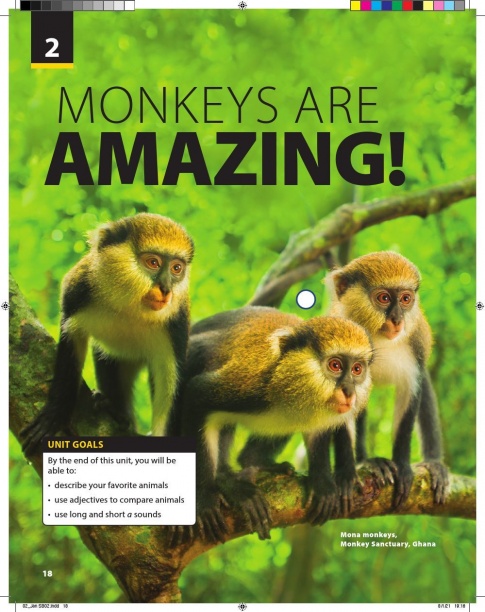 [Explore] Tiếng Anh 6 Unit 2: Monkeys are amazing