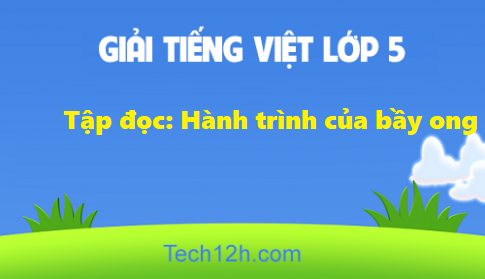 Giải bài Tập đọc Hành trình của bầy ong