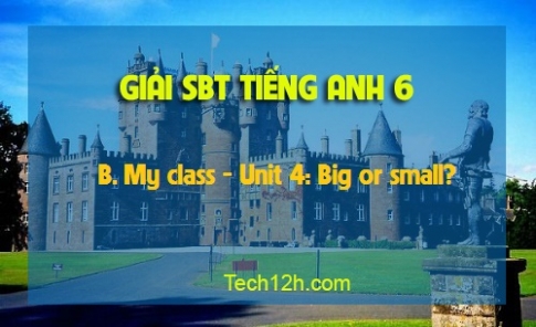 SBT tiếng Anh 6: B. My class Unit 4 Big or small?