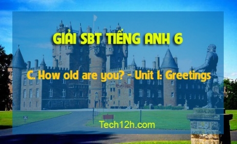 SBT tiếng Anh 6: C. How old are you? Unit 1 Greetings