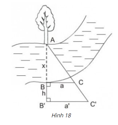 Giải Câu 12 Bài 2: Định lí đảo và hệ quả của định lí Ta-lét - sgk Toán 8 tập 2 Trang 64