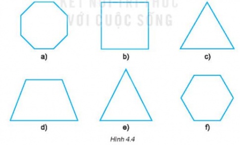 [KNTT] Giải SBT toán 6 tập 1 bài 18: Tam giác đều, hình vuông, hình lục giác đều