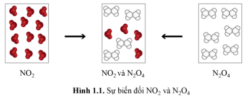 Khí NO2 (màu nâu đỏ) liên tục chuyển hoá thành khí N2O4 (không màu) và ngược lại, tại một điều kiện xác định. Tại điều kiện này...Tại thời điểm hỗn hợp khí trong hai bình có thành phần như nhau, có phản ứng diễn ra trong hai binh này hay không?