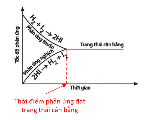 Cho phản ứng: 2HI (g) ⇄ H2 (g) + I2 (g)  a) Vẽ dạng đồ thị biểu diễn tốc độ của phản ứng thuận và phản ứng nghịch theo thời gian.  b) Xác định trên đồ thị thời điểm phản ứng trên bắt đầu đạt đến trạng thái cân bằng.