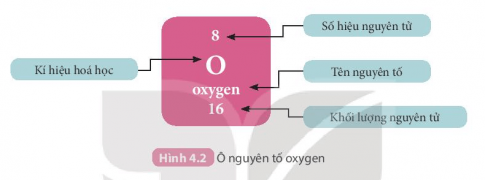 Ô nguyên tố cho biết: kí hiệu hóa học, tên nguyên tố, kí hiệu nguyên tử và khối lượng nguyên tử của nguyên tố đó.