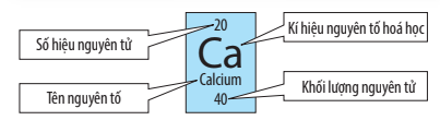 Quan sát ô nguyên tố và trả lời các câu hỏi sau:  a) Em biết được thông tin gì trong ô nguyên tố calcium?  b) Nguyên tố calcium này nằm ở vị trí nào (ô, nhóm, chu kì) trong bảng tuần hoàn các nguyên tố hoá học?