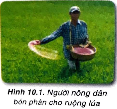 Em cho biết ý kiến về đảm bảo an toàn lao động khi bón phân của người nông dân trong hình