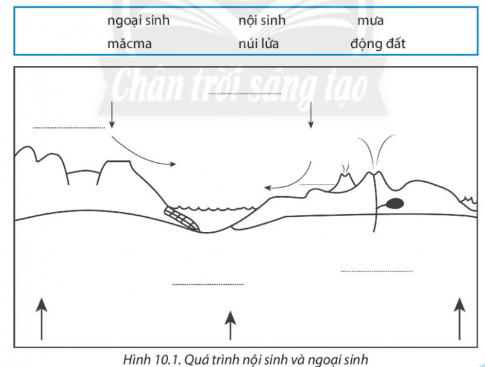 [Chân trời sáng tạo] Giải SBT lịch sử và địa lí 6 bài 10: Quá trình nội sinh và ngoại sinh. Các dạng địa hình chính. Khoáng sản