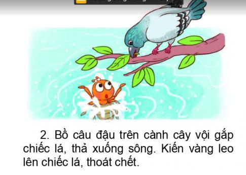 [Phát triển năng lực] Tiếng việt 1 bài 25A: Những con vật đáng yêu