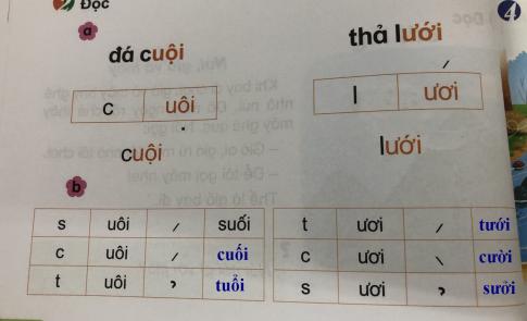 [Phát triển năng lực] Tiếng việt 1 bài 6D: uôi, ươi