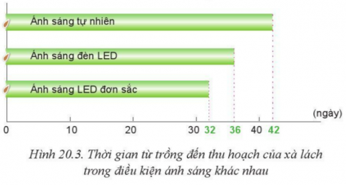 Giải bài 20 Giới thiệu về trồng trọt công nghệ cao