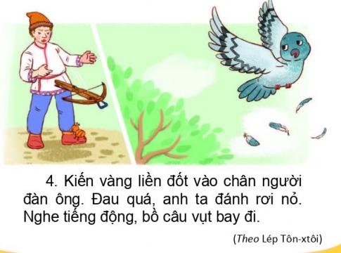 [Phát triển năng lực] Tiếng việt 1 bài 25A: Những con vật đáng yêu