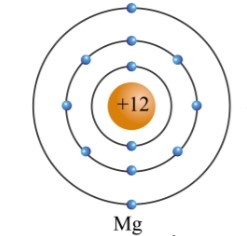 Trắc nghiệm KHTN 7 Cánh diều học kì I (P5)