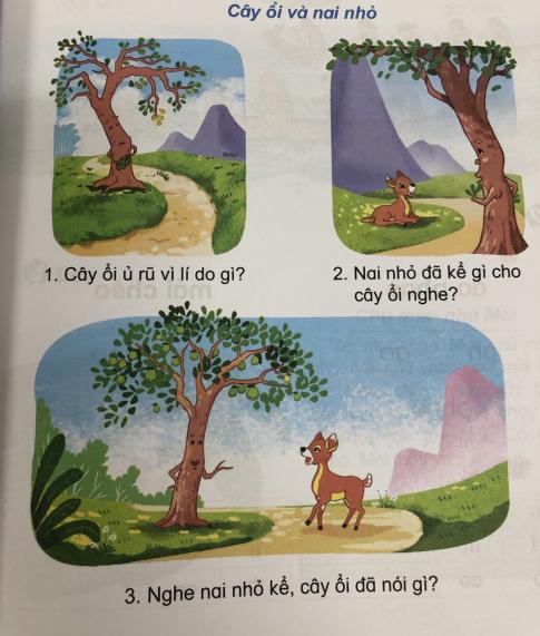 [Phát triển năng lực] Tiếng việt 1 bài 6E: Ôn tập ai- ây- ay, oi - ôi- ơi, ui - ưi, uôi - ươi