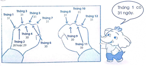 Bài tập 4. Trang 43 VBT Toán 3 tập 2