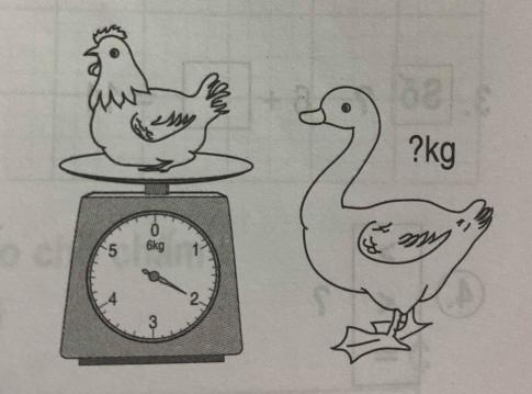 Giải bài tập thực hành toán 2: Luyện tập trang 42