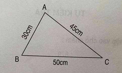 Giải bài tập thực hành toán 2: Tự kiểm tra tập 2 trang 89